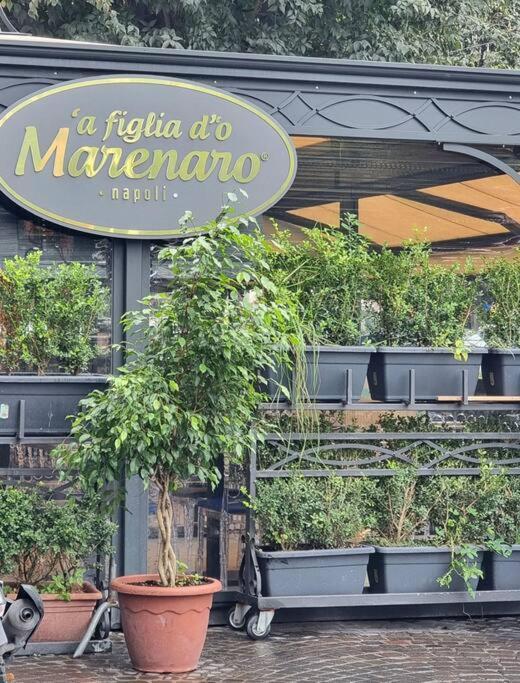 Casa Comoda E Centrale In Quartiere Storico Di Napoli Ngoại thất bức ảnh